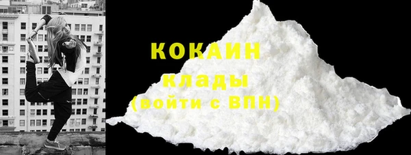 ГАЛЛЮЦИНОГЕННЫЕ ГРИБЫ Покровск
