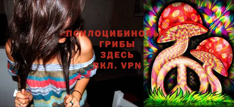 Галлюциногенные грибы Psilocybine cubensis  kraken онион  Абинск 