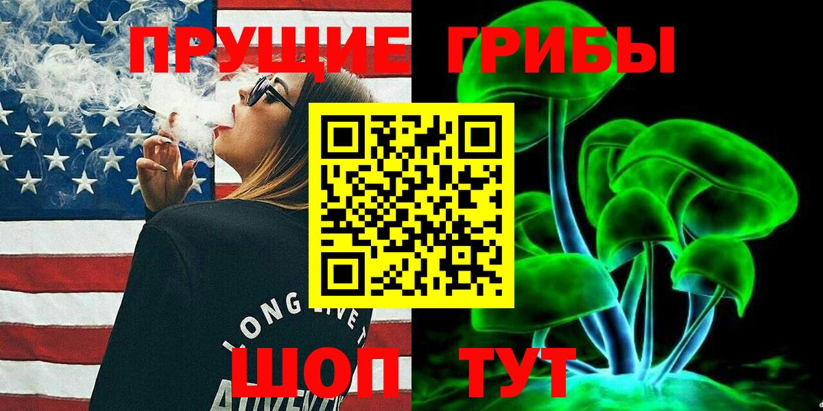 Псилоцибиновые грибы мицелий  Абинск  Псилоцибиновые грибы Psilocybe 