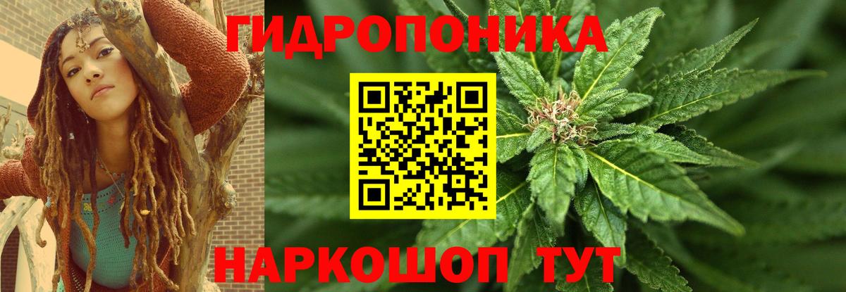 Бошки Шишки Amnesia Абинск